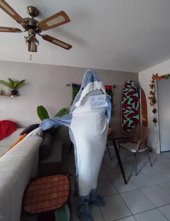 Cozy Shark Blanket™ – Healtihair